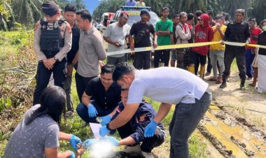 Polres Aceh Barat Daya Selidiki Kematian Warga di Lahan Kelapa Sawit