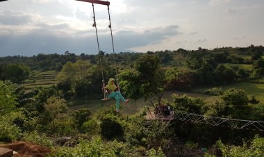 Habiskan Akhir Pekan dengan Menikmati Waktu di Taman Wisata Burung Dara