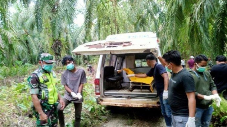 Warga Temukan Mayat Laki-laki Membusuk di Kebun Sawit Kec.Suro Makmur, Aceh Singkil