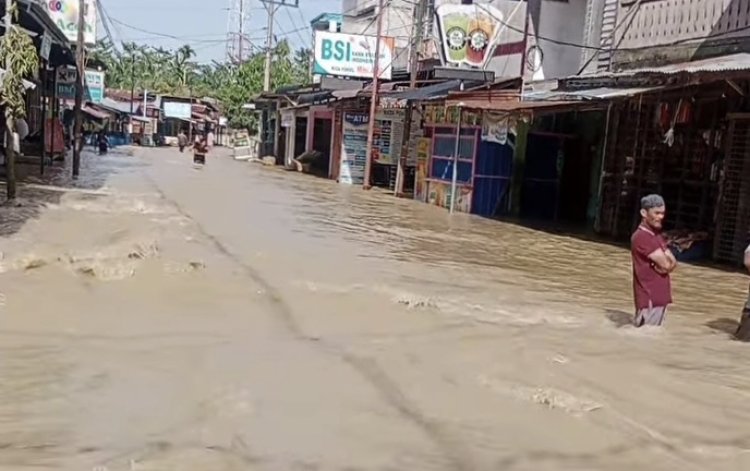 Nora Desak Pemerintah Aceh Segera Tangani Tanggul Jebol di Kec.Seruway Aceh Tamiang