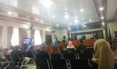 Tanah 2,3 hektare Pemda Diserobot, Cara Kerja Para Mafia Jual Beli Tanah Ilegal di Inhu Terbitkan SHM