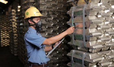 Stop Ekspor Mentah, Timah Masuk Agenda Kebijakan Baru